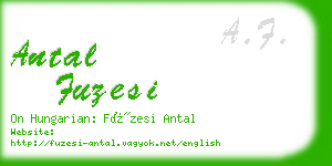 antal fuzesi business card